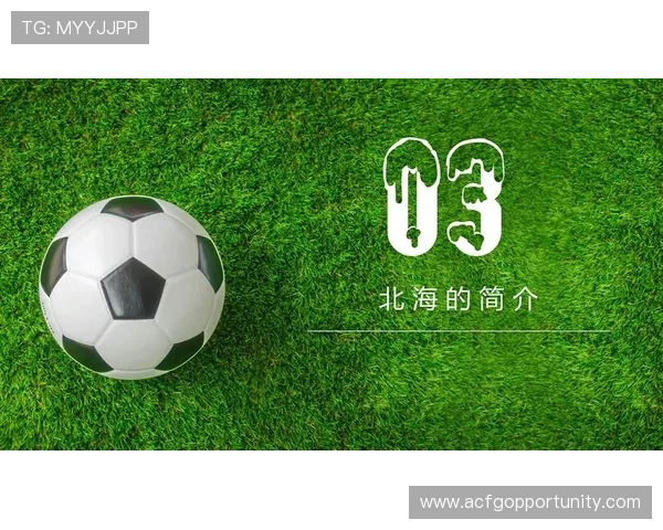 足球ag官网：最新足球赛事信息，助你精准预测和获利技巧