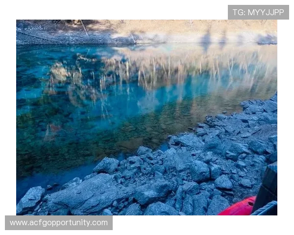 选择最佳ag电子试玩游戏平台的实用指南，让你玩得尽兴又安心